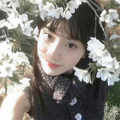 东北老炮儿2
